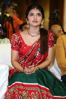 Sreeleela Half Saree Photos